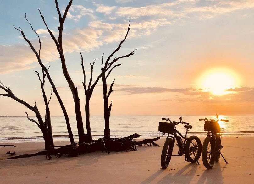 Big Talbot Island State Park, Florida, USA